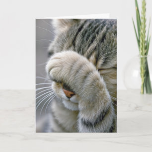 Birthday Gray Tabby Cat Getting Old Humor Card