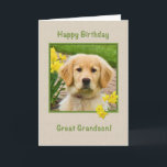 Birthday, Great Grandson, Golden Retriever Dog Card<br><div class="desc">Nothing says "love" more than the big brown eyes of a Golden Retriever pup.  Add a few daffodils and you a way to wish someone else a happy birthday.  Feel free to change the inside verses to suit your needs.</div>