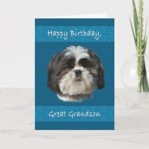 Birthday, Great Grandson, Shih Tzu Dog Card