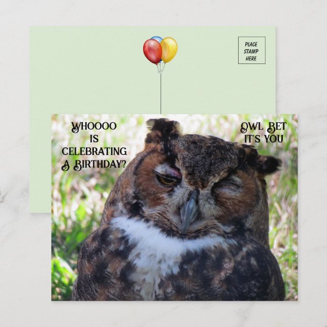 Birthday Great Horned Owl Postcard (Front/Back)