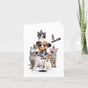 Birthday Greeting Card - Animal Bands - Cats