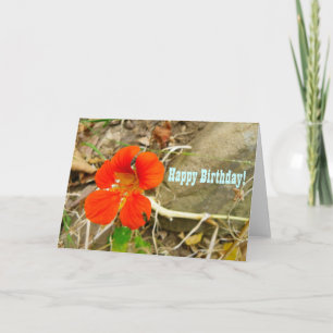 Birthday Greeting Card! Card
