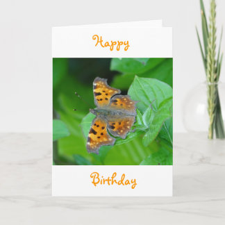 Birthday greeting card orange butterfly