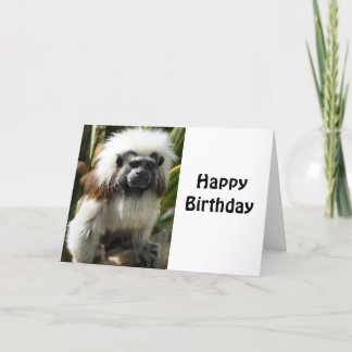 Birthday greeting card, with cute monkey card