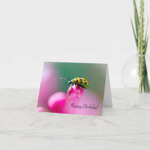 Birthday Greeting Card with Ladybug Design