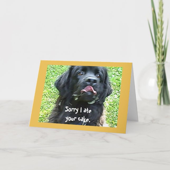 Birthday greeting ~ Newfoundland Dog Card (Front)