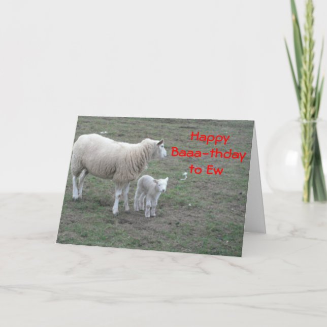 Birthday Greetings Card (Front)