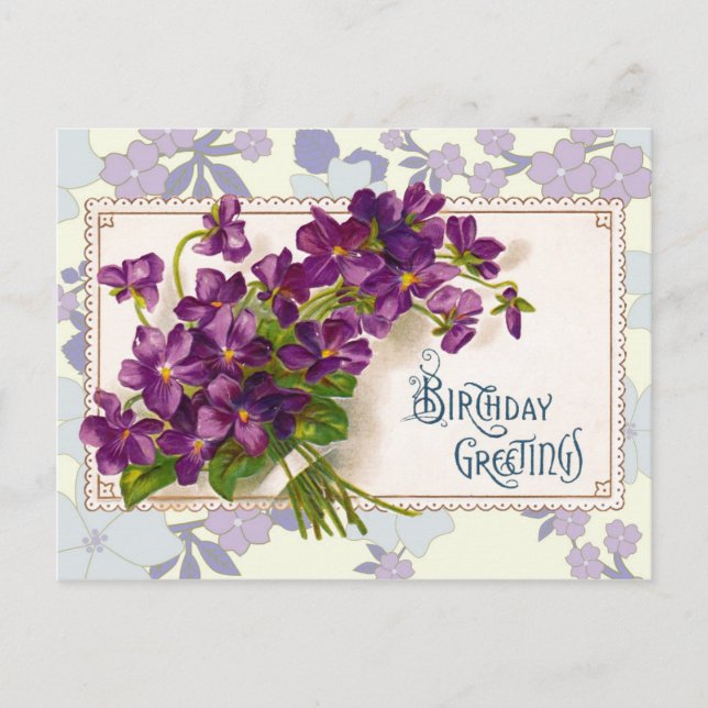 Birthday Greetings with Violets Postcard (Front)