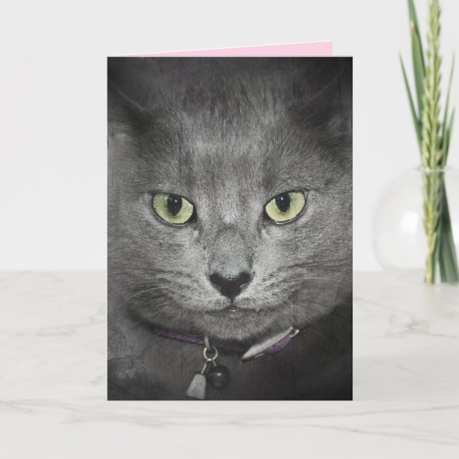 Birthday Grey Cat Humour Card (Front)