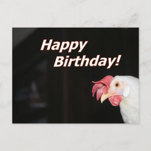 Birthday Hen Holiday Postcard