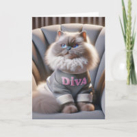 Birthday Himalayan Diva Cat