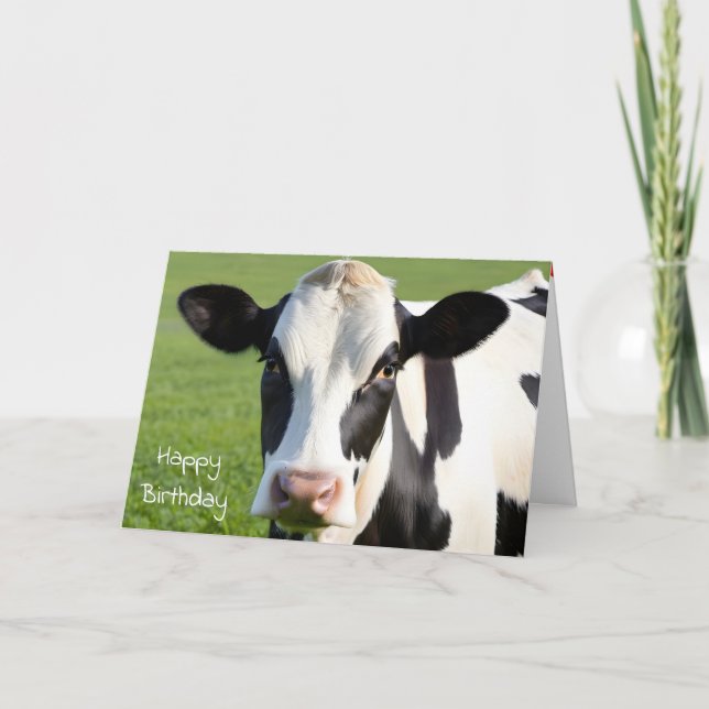 Birthday Holstein Cow Humour Card (Front)
