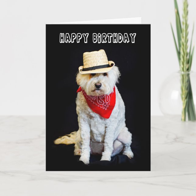 BIRTHDAY - HUMOR - DOG/COWBOY HAT AND SCARF CARD (Front)
