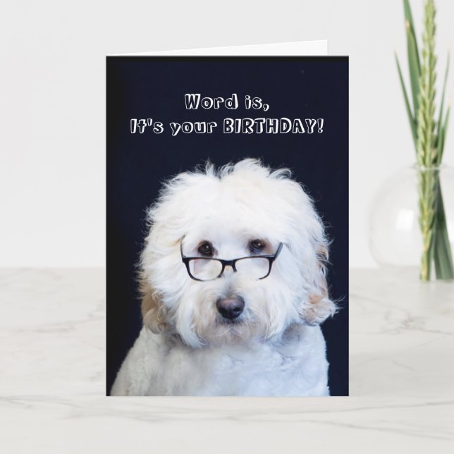 BIRTHDAY - HUMOR W/DOG/BLACK-RIM GLASSES CARD (Front)
