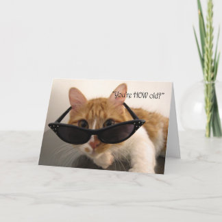 Birthday Humor - You're HOW Old? Cat Card