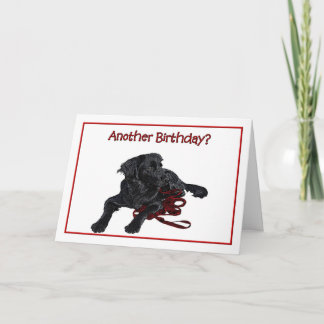 Birthday Humour Black Labrador Retriever Card