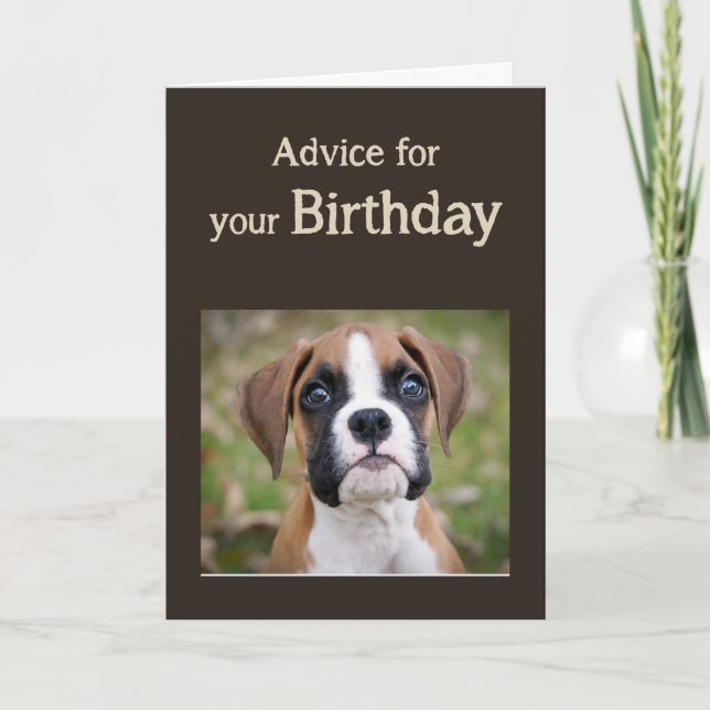Birthday Humour Cute Dog Inspirational Humour Advi Card (Front)