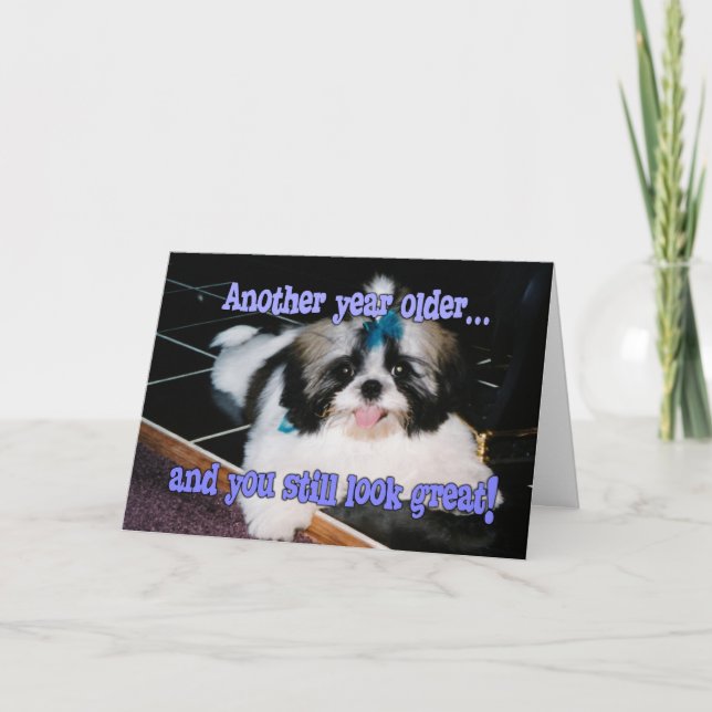 Birthday Humour - Cute Shih-Tzu Puppy Card (Front)