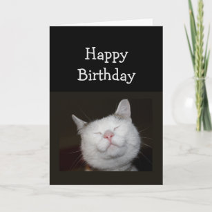 Birthday Humour Cute Smiling Cat for Inspiration Card