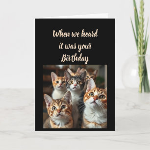 Birthday Humour From all of Us Cute Cats Card