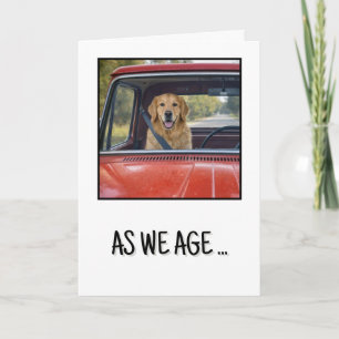 Birthday Humour Golden Retriever Wearing a Seatbel Card