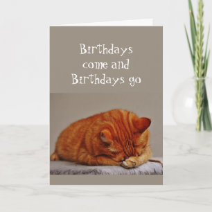 Birthday Humour Hiding not an Option Orange Cat Card