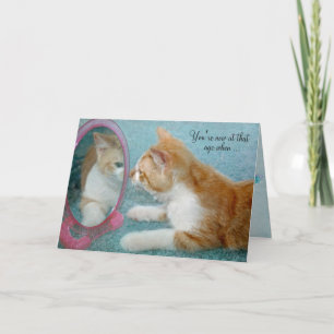 birthday humour tabby cat looking in mirror card