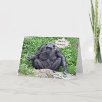 Birthday humour with chimpanzee