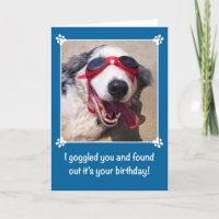 Birthday - I Goggled You - Australian Shepherd Dog