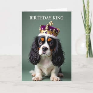 Birthday King Dog Card