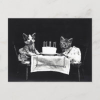 Birthday Kittens