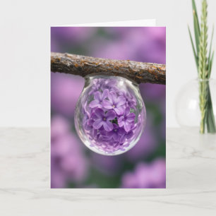 Birthday Lilac Blossom Reflected in Raindrop Card