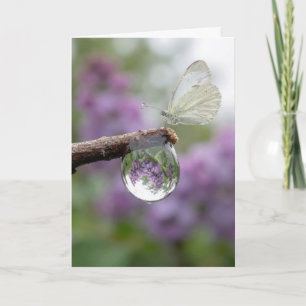 Birthday Lilacs Reflecting in a Raindrop Card