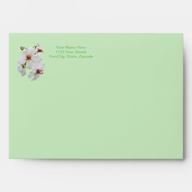 Birthday Moth Mullein Wildflower Envelope (Front)