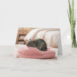 Birthday Mouse Sleeping on a Pink Slipper Card