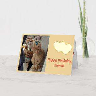 Birthday Name Day Children Ginger Cats Photo Foil Greeting Card