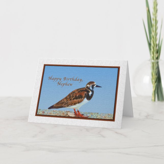 Birthday, Nephew, Ruddy Turnstone Bird Card (Front)