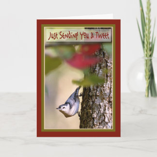 Birthday - Nuthatch Greeting Card