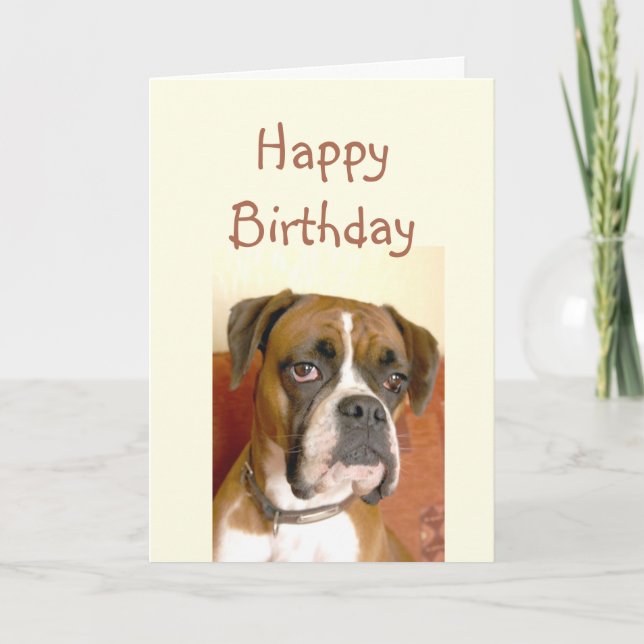 Birthday Old Age Not Happy, Humor with Dog Card (Front)