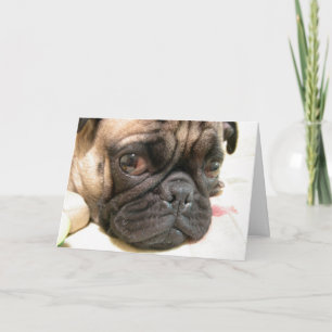 Birthday Old Age Not Happy, Humour with Dog Card