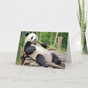 Birthday Panda Bear Chewing on a Bamboo Stalk Card