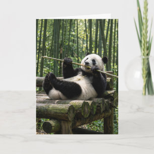 Birthday Panda on a Log Platform Card