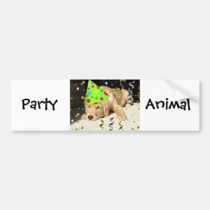 Birthday Party Animal Golden Retriever Bumper Sticker