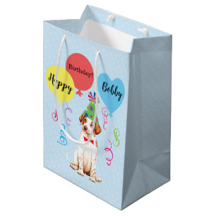 Birthday Party Balloons Pointer Medium Gift Bag