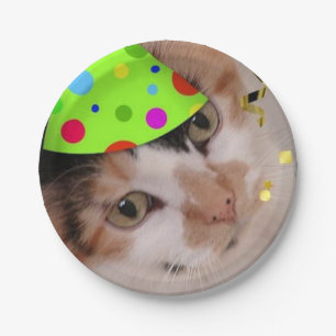 Birthday Party Calico Cat Paper Plate