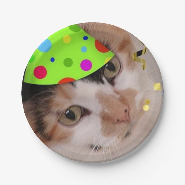 Birthday Party Calico Cat Paper Plate (Front)