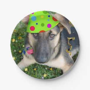 Birthday Party German Shepherd Paper Plate