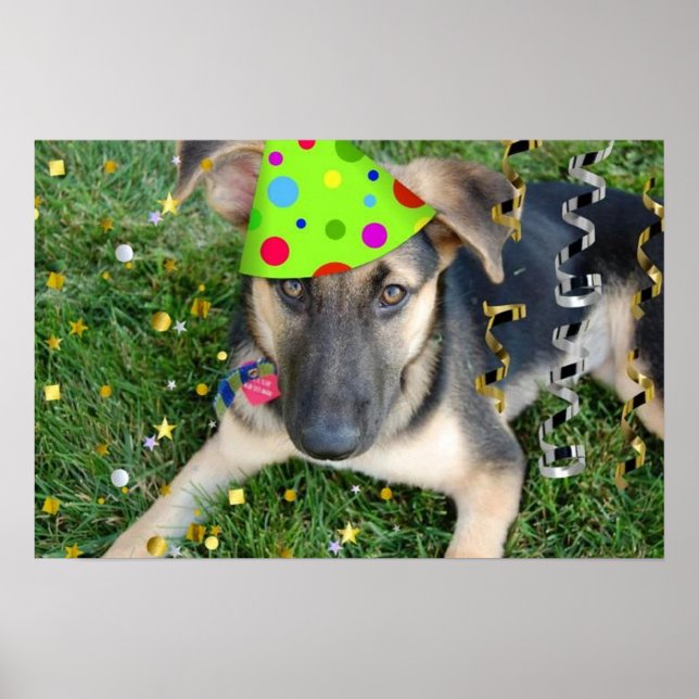 Birthday Party German Shepherd Poster (Front)