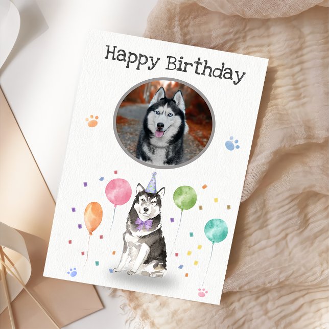  Birthday Party Husky Sibir Dog Animal Card (Creator Uploaded)