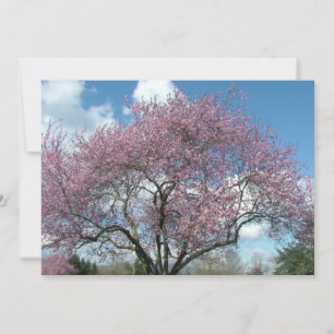 birthday party invitation